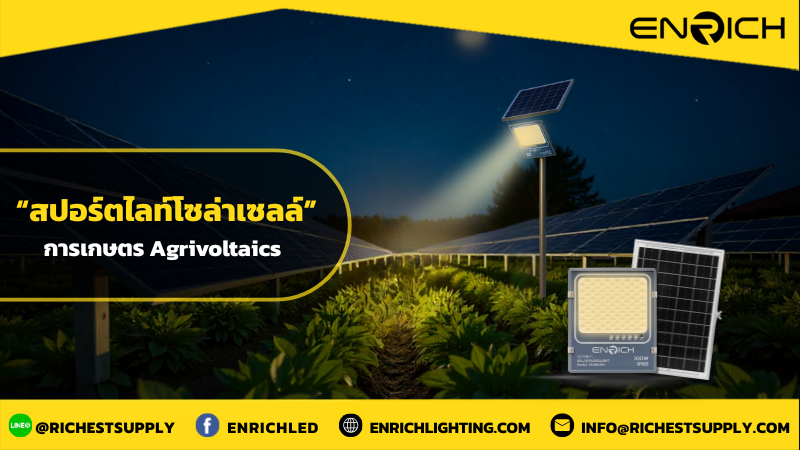 สปอร์ตไลท์โซล่าเซลล์ กับการเกษตรแบบ Agrivoltaics ในยุคใหม่